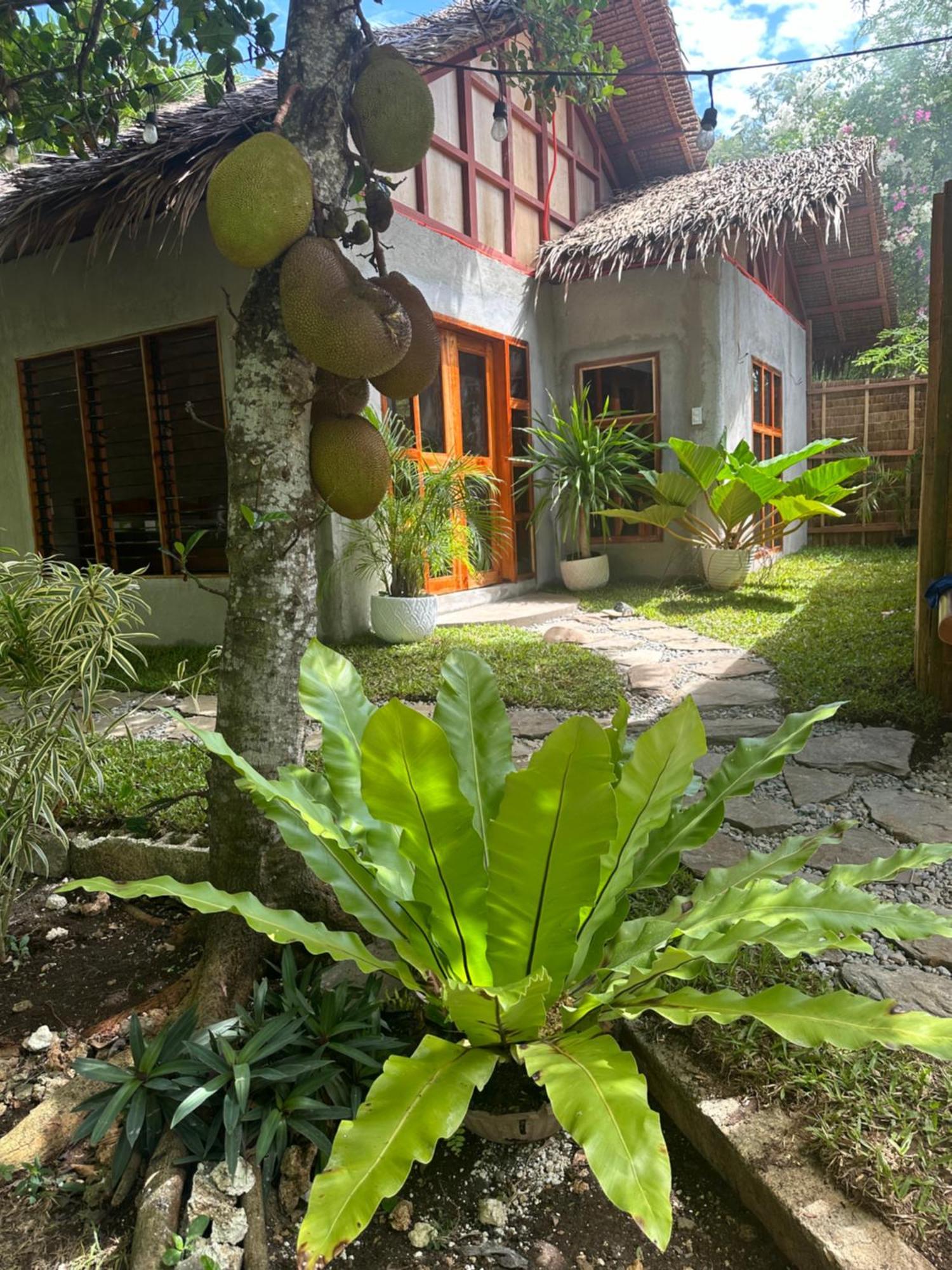 Bohol Island Homestay Dauis Exterior foto
